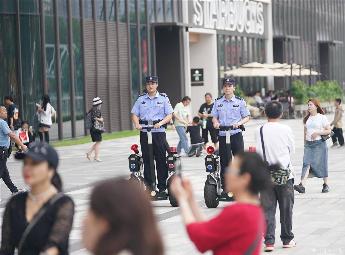 百佳乐网站软件